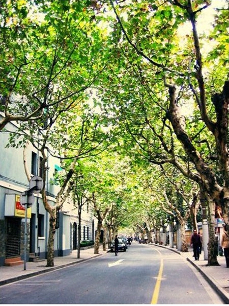 20120413121902_7722.jpg