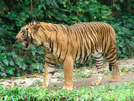 20120427104756_7143.jpg