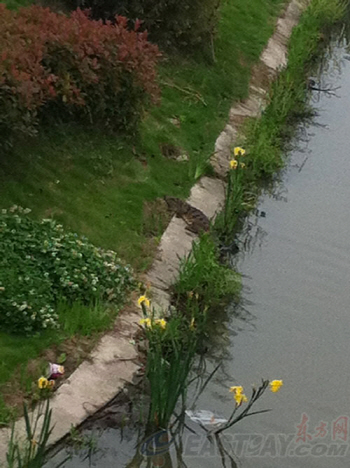 20120514173758_5305.jpg