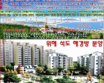 조서족의 두번째 고향! 내일의 석도는는 오늘의 심수!