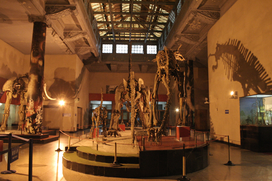 20120706194227_6360.jpg
