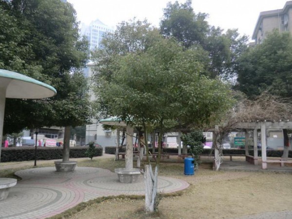 20121019173733_9989.jpg