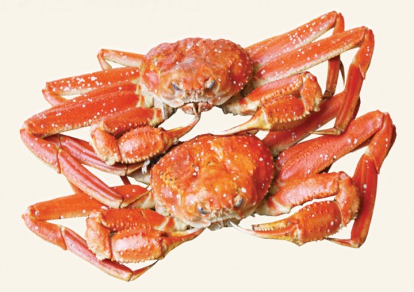 20121023192813_2898.jpg