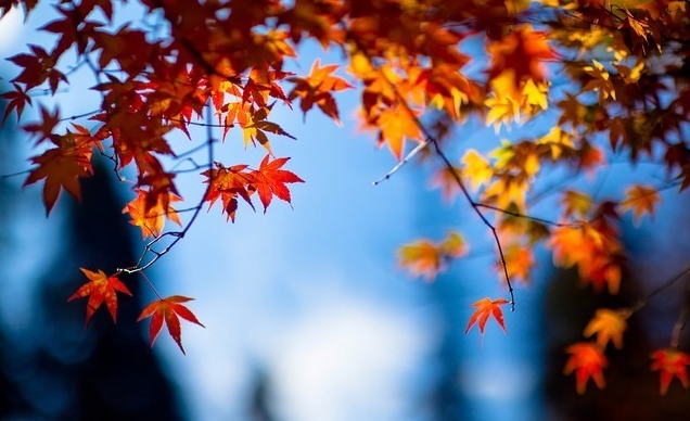 20121026182300_1109.jpg
