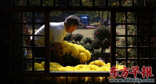 20121030135921_8509.jpg
