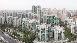 20130109125217_3605.jpg