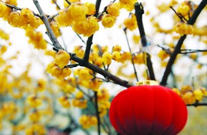 20130228144121_1934.jpg
