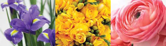 20130313130548_4682.jpg