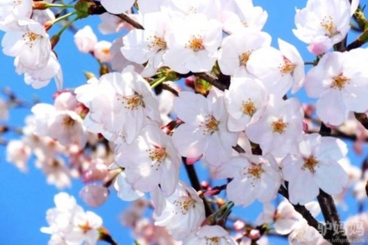 20130321141025_8123.jpg