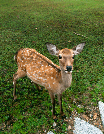 20130401171354_5198.jpg