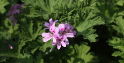 20130508122634_4343.jpg