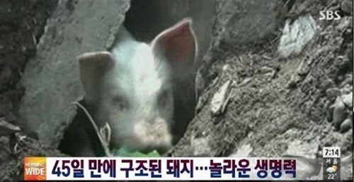 20130607195240_2883.jpg