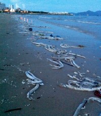 20130717151152_6520.jpg