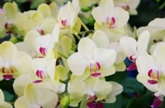 20130815185808_8103.jpg