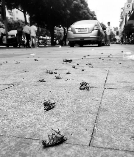 20130828180158_4395.jpg