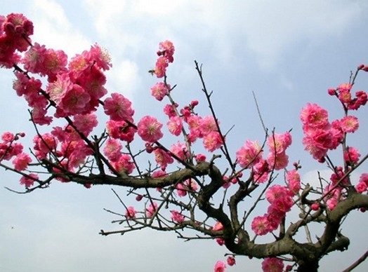 20140219154838_3984.jpg