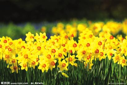 20140306192924_8339.jpg