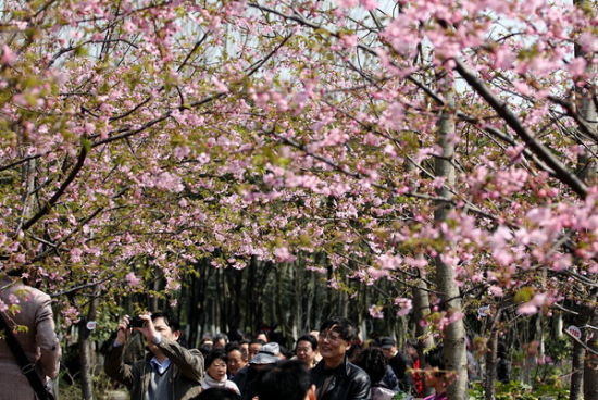 20140324161807_8684.jpg
