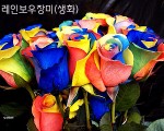 (강추)독점제작,판매 아이템 입니다