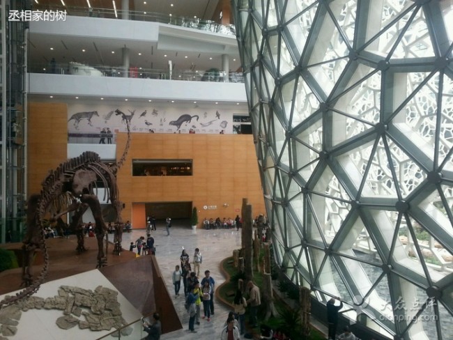 20150429134205_9514.jpg