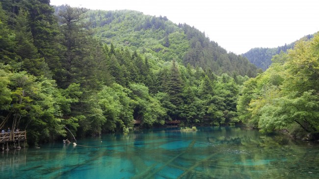 20150703191341_6661.jpg