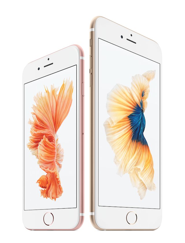 20151026153556_2480.jpg