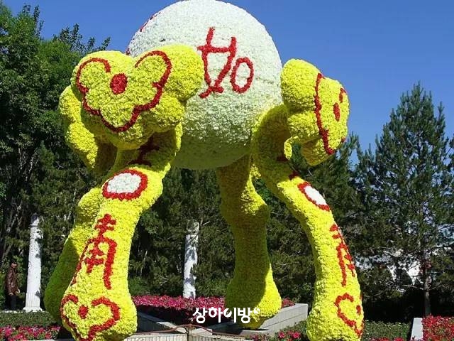 54.jpg