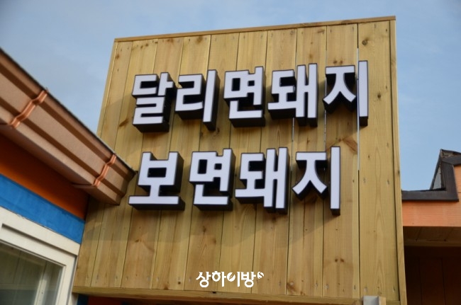 %EB%8F%BC%EC%A7%80%EB%B0%95%EB%AC%BC%EA%B4%80.jpg