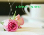 능력 협력 파트너, 알바 구합니다.
