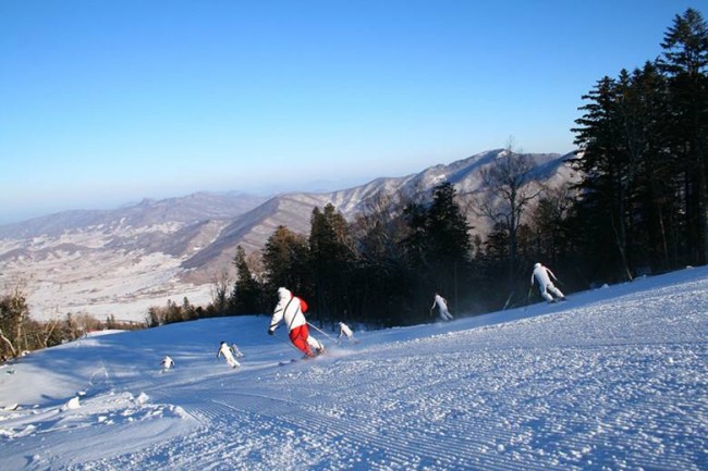 20180124174733_0b350.jpg