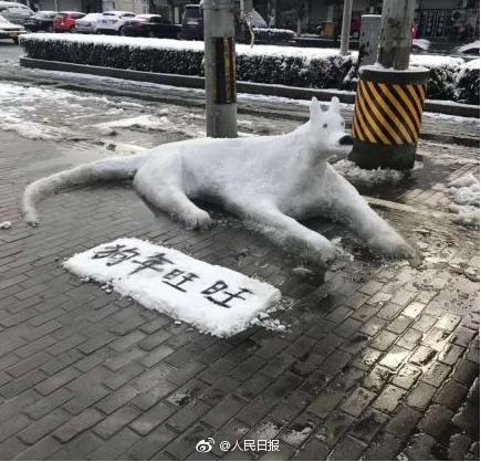 20180129142907_2711.jpg