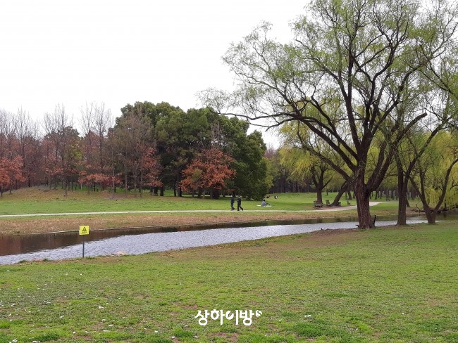 20180317_092428.jpg