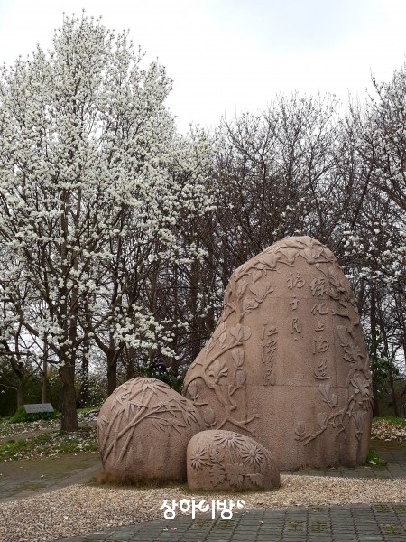 20180317_102051.jpg