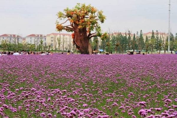 04.jpg