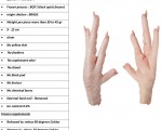 브라질 닭발 공급합니다.(PAWS)