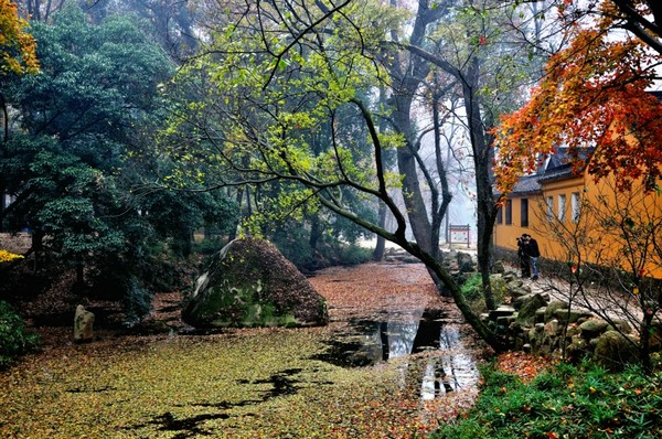 20181031214133_4d320.jpg
