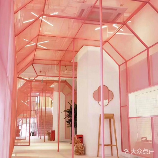 ZLLN+CAFE.jpg