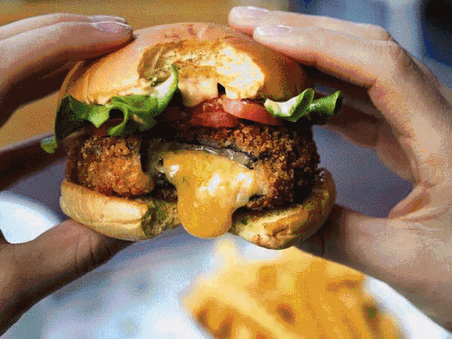SHAKE+SHACK.gif
