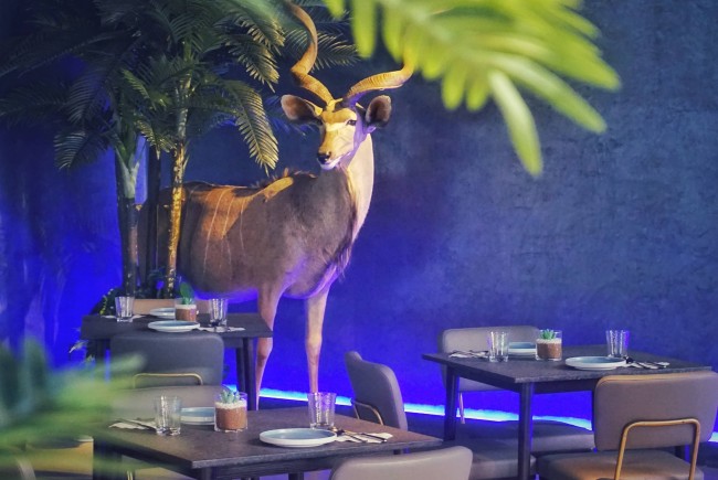 The+Jungle------------------.jpg
