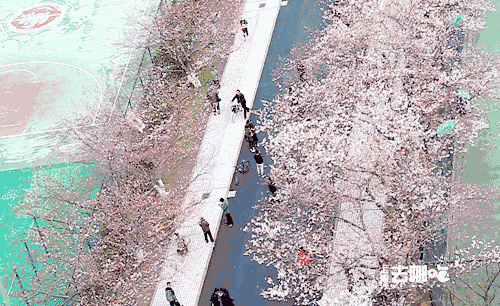 20190314012829_13e20.gif