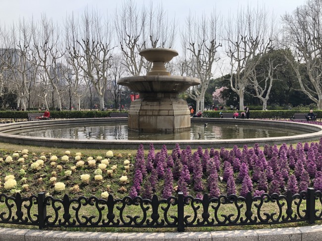 20190410202528_3654.jpg