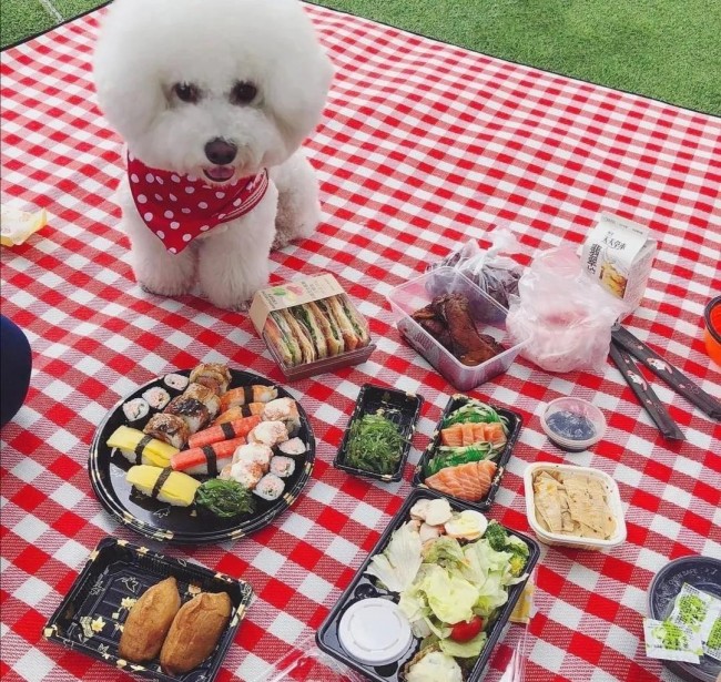 %E5%BE%AE%E4%BF%A1%E5%9B%BE%E7%89%87_20200506203950.jpg