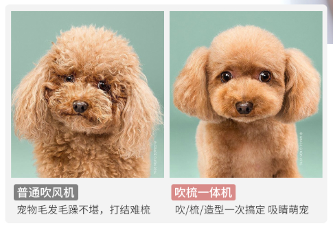 WeChat+Screenshot_20200803102631.png