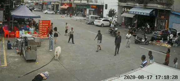 3.gif