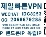 아이온 R2M 알투엠 리니지2m 혼자사용하는 고정VPN