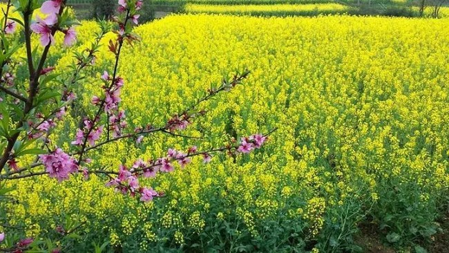 796763978a3253b5.jpg_r_720x480x95_c24a5cfa.jpg