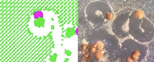 20211230182306_8293.jpg