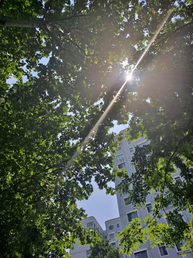 20220514145034_1914.jpg