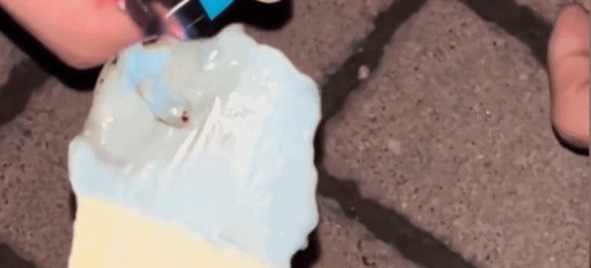 640+%281%29.gif
