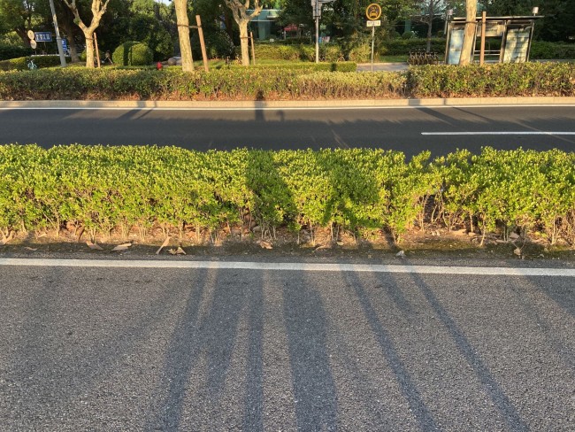 20220721144126_2792.jpg
